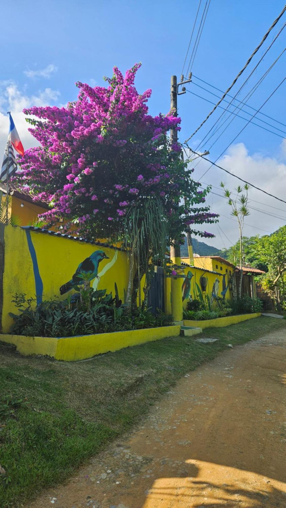 Casa Dos Franceses Ilha Grande Villa Exterior foto